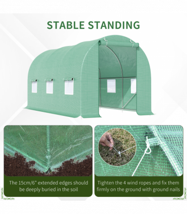 Walk-in Tunnel Greenhouse