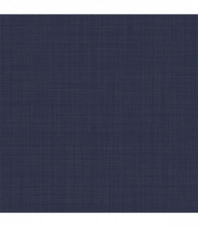 Weave Texture Navy sw12