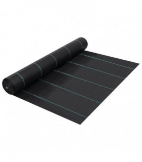 Weed & Root Control Mat Black 2x5 m PP