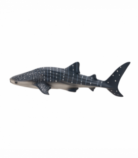 Whale Shark Toy  Realistic Ocean Animal Model