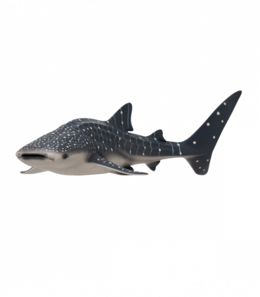 Whale Shark Toy  Realistic Ocean Animal Model