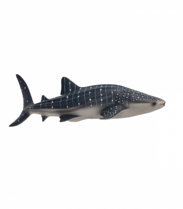 Whale Shark Toy  Realistic Ocean Animal Model