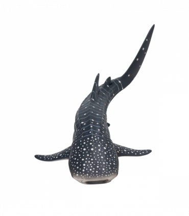 Whale Shark Toy  Realistic Ocean Animal Model