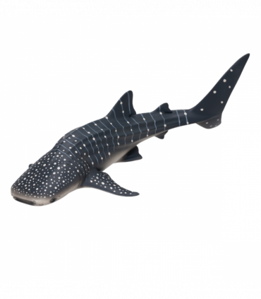 Whale Shark Toy  Realistic Ocean Animal Model