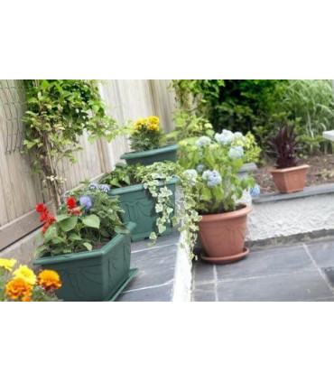Whitefurze G02044 38cm Square Venetian Planter - Terracotta