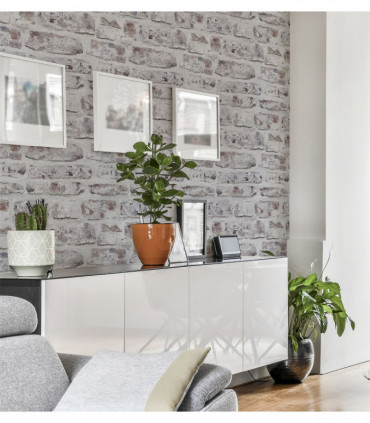 Whitewashed Wall White  sw12