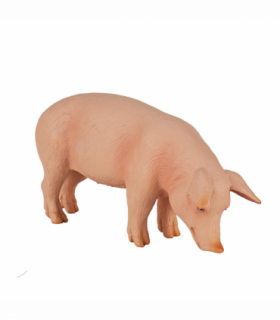 Wild Boar Pig Toy  Realistic Farm & Forest Animal Figure
