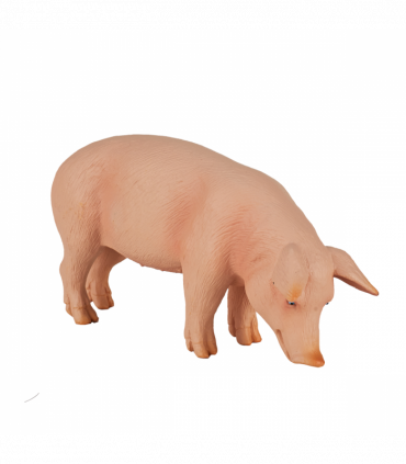 Wild Boar Pig Toy  Realistic Farm & Forest Animal Figure