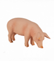 Wild Boar Pig Toy  Realistic Farm & Forest Animal Figure