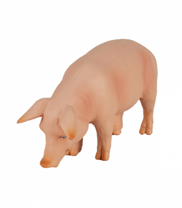 Wild Boar Pig Toy  Realistic Farm & Forest Animal Figure