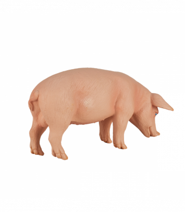Wild Boar Pig Toy  Realistic Farm & Forest Animal Figure