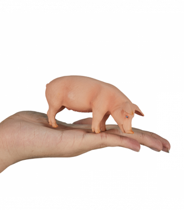 Wild Boar Pig Toy  Realistic Farm & Forest Animal Figure