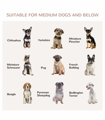 Wood Dog Crate Furniture W/ Three Doors, Locks & Latches, for Medium Dogs