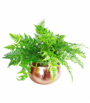 XL Metal Bowl Planter 32 x 20cm Hammered Copper Colour Curvy Edge