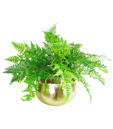 XL Metal Bowl Planter 32 x 20cm Hammered Gold Colour Curvy Edge