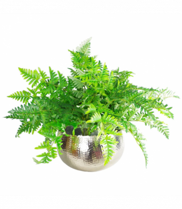 XL Metal Bowl Planter 32 x 20cm Hammered Silver Colour Curvy Edge