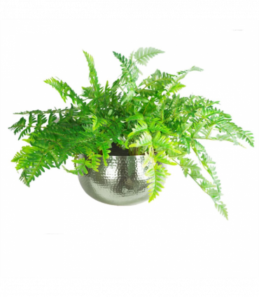 XL Metal Bowl Planter 32 x 20cm Hammered Silver Colour Straight Edge