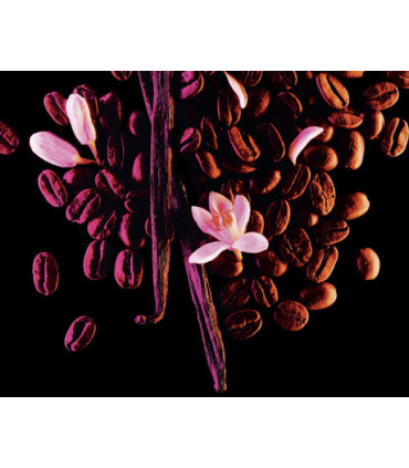 Yves Saint Laurent Black Opium Eau de Parfum Spray 30ml