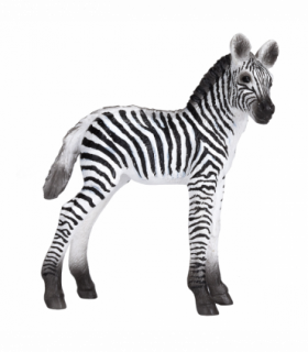 Zebra Foal Toy  Realistic African Wildlife Model