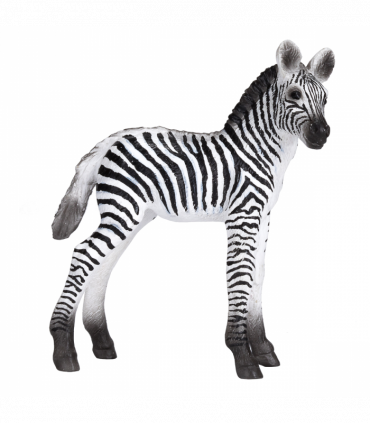 Zebra Foal Toy  Realistic African Wildlife Model