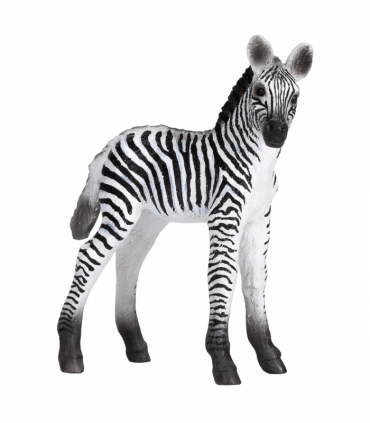 Zebra Foal Toy  Realistic African Wildlife Model