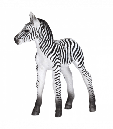 Zebra Foal Toy  Realistic African Wildlife Model