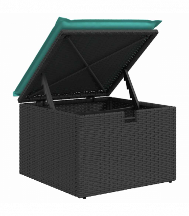 vidaXL 2 Piece Garden Sofa Set with Cushions Black Poly Rattan Acacia