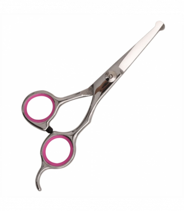 vidaXL 5 Piece Dog Grooming Scissors Set Stainless Steel