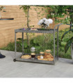 vidaXL Bar Cart Grey 100x45x83 cm Poly Rattan