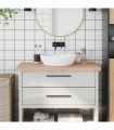 vidaXL Bathroom Countertop 100x60x4 cm Solid Wood Beech