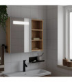 vidaXL Bathroom Mirror Cabinet with LED Light Oak 60x13x52 cm