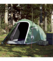 vidaXL Camping Tent Tunnel 2-Person Green Waterproof