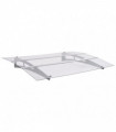 vidaXL Door Canopy Silver and Transparent 150x90 cm PET
