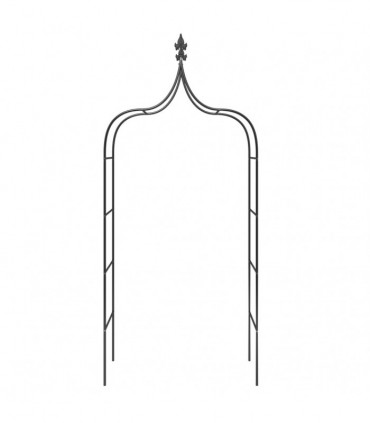 vidaXL Garden Arches 2 pcs Black 120x38x260 cm Steel