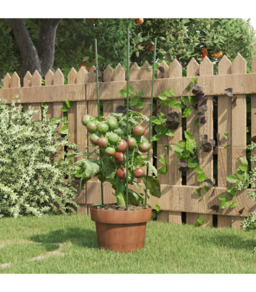 vidaXL Garden Plant Supports with 3 Rings 5 pcs Green 60 cm Steel