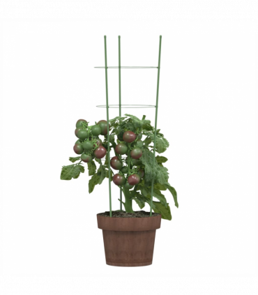 vidaXL Garden Plant Supports with 3 Rings 5 pcs Green 60 cm Steel