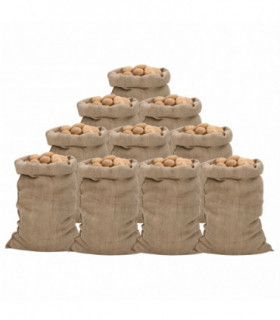 vidaXL Jute Sacks 10 pcs 60x105 cm 100% Jute 340 gsm