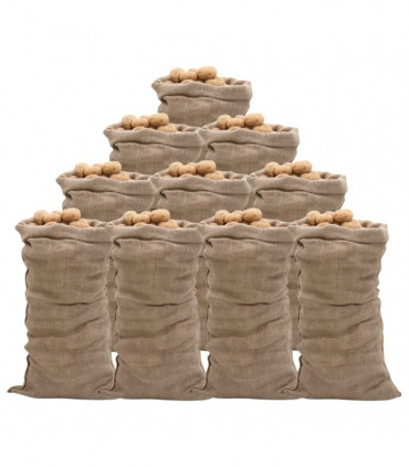 vidaXL Jute Sacks 10 pcs 65x135 cm 100% Jute 220 gsm