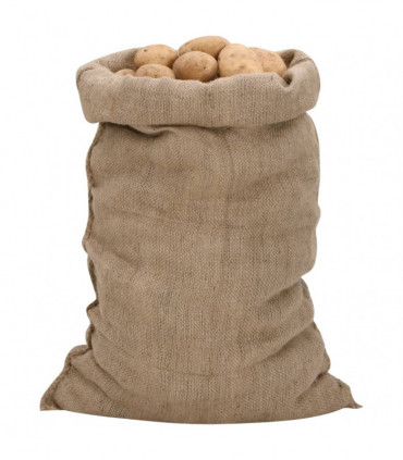 vidaXL Jute Sacks 5 pcs 60x105 cm 100% Jute 340 gsm