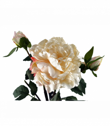60cm Peony Artificial Flower Cream - 1 Flower 3 Buds