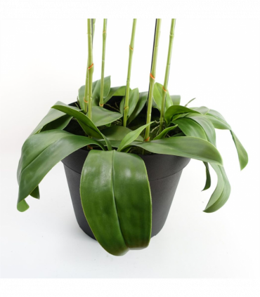 150cm Giant Pink Orchid Plant Artificial 189 flowers REAL TOUCH