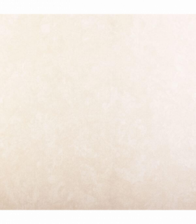 White Blank (Cream): Decorative Ceiling & Wall Panels - 2m2 (21.52 sqft) - 8 Panels