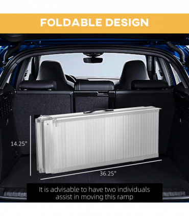 Portable Wheelchair Ramp