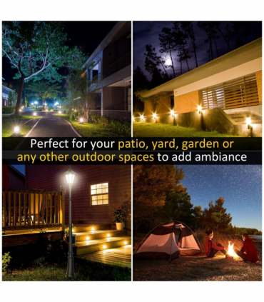 LED Garden Lights