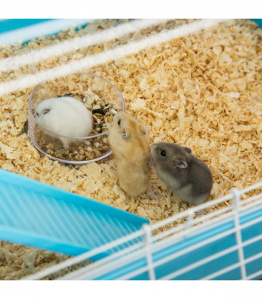 PawHut Walk in Chicken Run w/ Cover, Hanging Feeder, Perch, for 12-18 Chickens