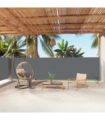 Retractable Side Awning Anthracite 160x1000 cm