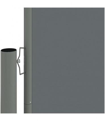 Retractable Side Awning Anthracite 160x1000 cm