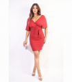 V-neck Tie Waist Wrap Mini Dress