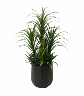 107cm Artificial Yukka Display in Pot Artificial