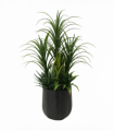 107cm Artificial Yukka Display in Pot Artificial